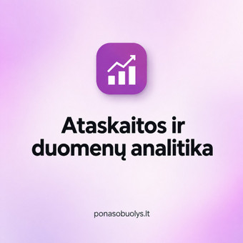 Ataskaitos ir duomenų analitika Šiauliai Ponas Obuolys, MB nuotrauka 8