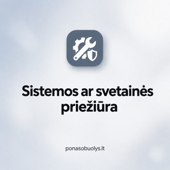 Sistemos ar svetainės priežiūra Šiauliai Ponas Obuolys, MB nuotrauka 10
