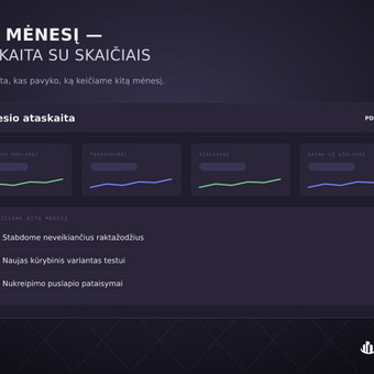 Pardavimų skatinimo strategijos rengimas Vilnius Omni Business Lab nuotrauka 1