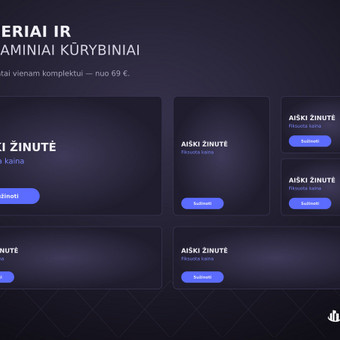 Reklamos internete kūrimas Vilnius Omni Business Lab nuotrauka 3