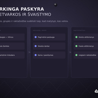 Google Ads reklama Vilnius Omni Business Lab nuotrauka 7
