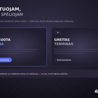 Svetainės ir reklamos diagnostika (auditas su ataskaita) Vilnius Omni Business Lab nuotrauka 15