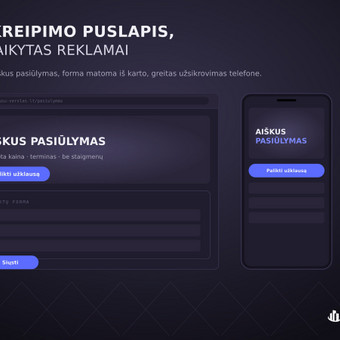 Reklaminis vieno puslapio landing page Vilnius Omni Business Lab nuotrauka 10