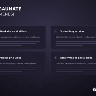 Reklamos valdymo prenumerata PRO (biudžetui 1 500–6 000 €/mėn.) Vilnius Omni Business Lab nuotrauka 16