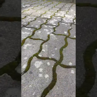 Trinkelių valymas Druskininkų sav. Vaidas nuotrauka 2