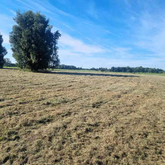 Pievų šienavimas Kaunas MB Aresta nuotrauka 2