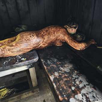 Spa ir pirties ritualas vienam asmeniui Šiauliai Giedrius nuotrauka 2