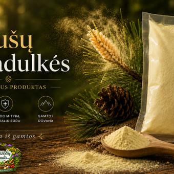 Banerių kūrimas Druskininkų sav. Alina Rastenienė nuotrauka 1