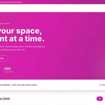 Programavimas su WordPress Vilnius Montzari nuotrauka 4