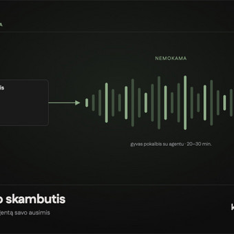 Nemokamas AI demo skambutis Vilnius Kalba.ai nuotrauka 8