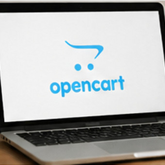El. parduotuvių kūrimas su OpenCart Vilnius Romas nuotrauka 4