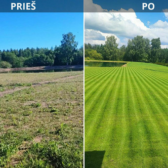 Kiemo, aplinkos apželdinimas Telšių rajonas Bobkatukas, D. Šalaševičiaus IVV nuotrauka 3