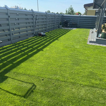 Vejos įrengimas: sėjimas, ruloninė veja Kaunas karolis bakunas nuotrauka 4