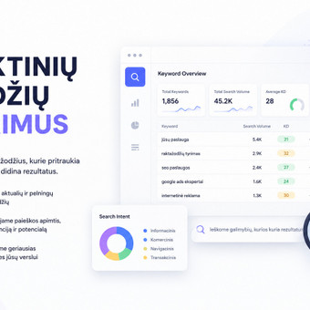 Raktinių žodžių tyrimas Vilnius Digital Click nuotrauka 7