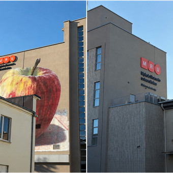 Iškabų, reklaminių tentų montavimas ir demontavimas Kaunas Mb VertikaPro nuotrauka 2