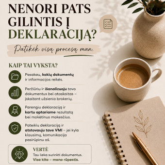 Deklaracijos ruošimas Klaipėda Živilė Ereminienė nuotrauka 4