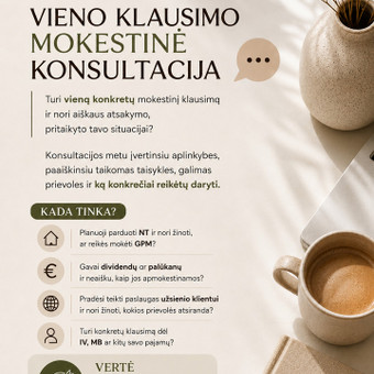 Vieno klausimo mokesčių konsultacija Klaipėda Živilė Ereminienė nuotrauka 2