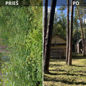 Apleistų sklypų tvarkymas Vilnius Karolis aplinkos tvarkymas nuotrauka 2