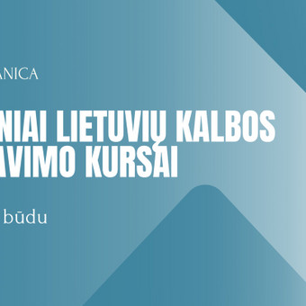 Praktiniai lietuvių kalbos redagavimo kursai Vilnius LINGUA LITUANICA nuotrauka 7