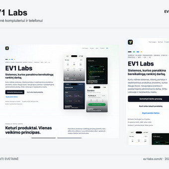 Svetainių dizainas (web design) Palanga EV1 Labs nuotrauka 1