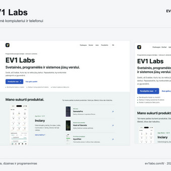 Svetainių dizainas (web design) Palanga EV1 Labs nuotrauka 1