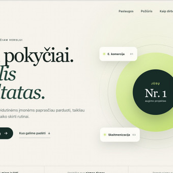 Svetainių dizainas (web design) Vilnius Projektas Nr. 1, MB nuotrauka 1