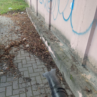 Lapų dulkių išvalymas iš teritorijos Panevėžys Krovinių pervežimas/ Perkraustymas nuotrauka 21