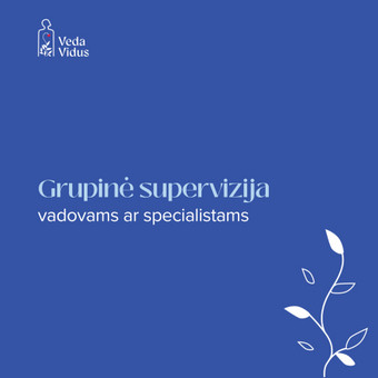 Grupinė supervizija vadovams, specialistams Klaipėda Veda Vidus nuotrauka 4