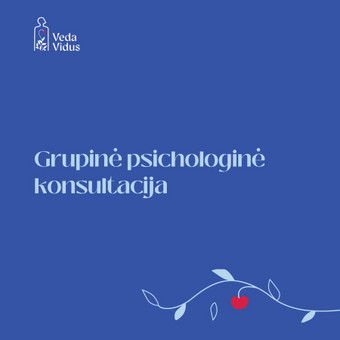 Grupinė psichologinė konsultacija Klaipėda Veda Vidus nuotrauka 2