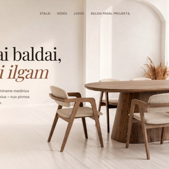 Svetainių dizainas (web design) Vilnius Novera.lt nuotrauka 1