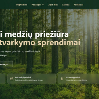 Programavimas su WordPress Vilnius Novera.lt nuotrauka 6