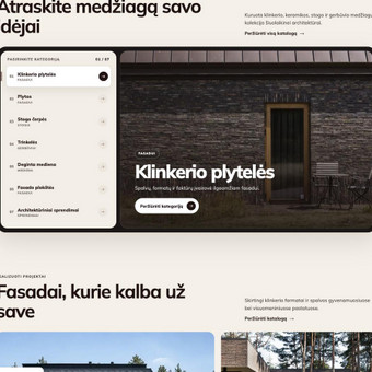 Programavimas su WordPress Vilnius MB Tkan nuotrauka 7
