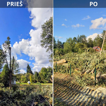 Avarinių medžių pjovimas Vilnius Valdas nuotrauka 1