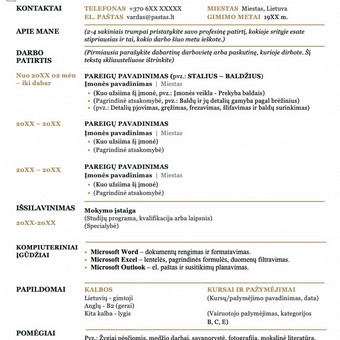 CV pildymas Kaunas Audros B. personalo atrankos nuotrauka 2