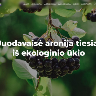 HTML/CSS kodavimas Kaunas MB "Šviesi galva" nuotrauka 4