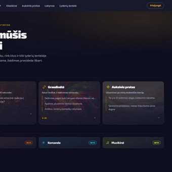 Svetainių dizainas (web design) Kaunas AlditeQ nuotrauka 1
