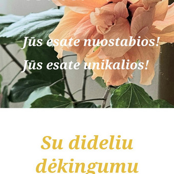 Psichologinė, emocinė pagalba Vilnius Nijolė Gylė nuotrauka 1