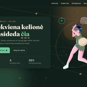 Interneto svetainių priežiūra Kaunas AlditeQ nuotrauka 8