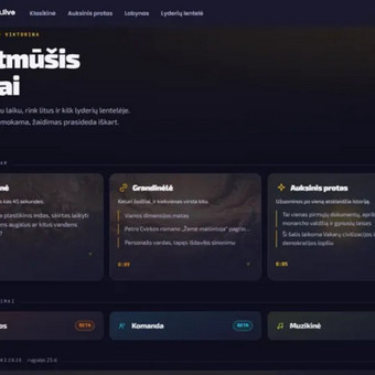 Svetainių talpinimas (Hosting) Kaunas AlditeQ nuotrauka 3