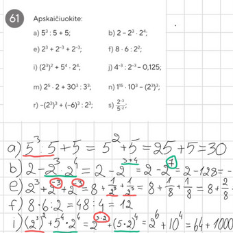 Papildomas matematikos mokymas Kaunas Viktorija Šliužaitė nuotrauka 1