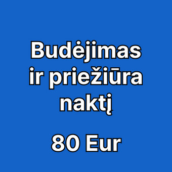 Budėjimas ir priežiūra naktį Plungės rajonas Vida Daumantienė nuotrauka 4