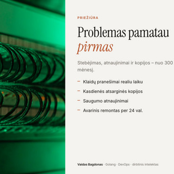 Serverių administravimas Vilnius Vaidas Bagdonas nuotrauka 21