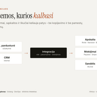 ERP / apskaitos integracijos Vilnius Vaidas Bagdonas nuotrauka 17