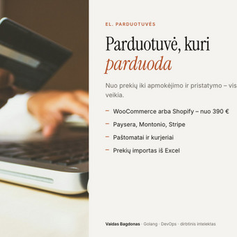 Mokėjimo sistemų pajungimas Vilnius Vaidas Bagdonas nuotrauka 7