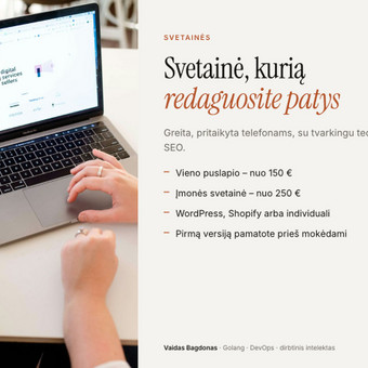 Programavimas su WordPress Vilnius Vaidas Bagdonas nuotrauka 10