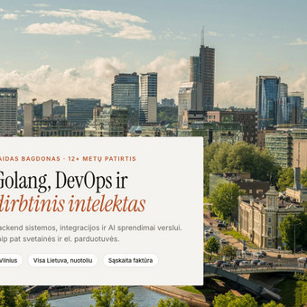 Svetainių kūrimas Vilnius Vaidas Bagdonas nuotrauka 5