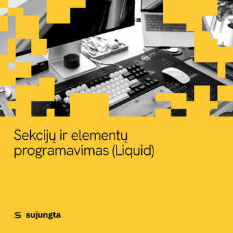 Sekcijų ir elementų programavimas (Liquid) Palanga Sujungta.lt nuotrauka 2