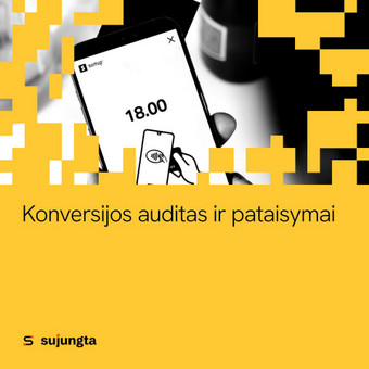 Konversijos auditas ir pataisymai Palanga Sujungta.lt nuotrauka 5