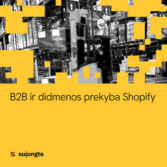 B2B ir didmenos prekyba Shopify Palanga Sujungta.lt nuotrauka 10