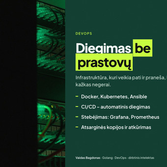 Svetainės perkėlimas į kitą serverį Vilnius Vaidas Bagdonas nuotrauka 42